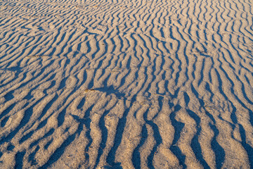 From above sand dune texture at Pheiffer beach in Big Sur California