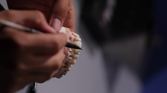 Closeup footage of person's hands marking with green color on a teeth figure model