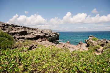Scenic coastal view with rocky cliffs and lush green vegetation.