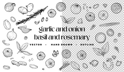 Hand drawn vector outline of vegetables and condiments such as onion, garlic, basil and rosemary. Top and side view of these condiments are easy to edit and ready to use. 