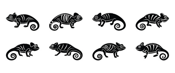 Set of Chameleon Silhouette Icon - Transparent Background Clipart 