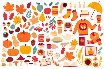 Autumn cozy design elements. Set of fall leaves, foliage, berries, apples, pumpkins, mushrooms, knitted socks, sweater, scarf, books, home bakery, coffee and tea cup. Flat Vector illustration isolated