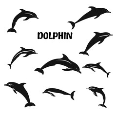 Fototapeta premium Dolphin Silhouette vector