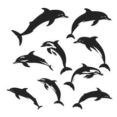 Obraz premium Dolphin Silhouette vector