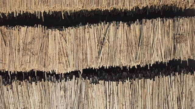 Vis&atilde;o a&eacute;rea de toras de madeiras para a produ&ccedil;&atilde;o de papel e celulose ind&uacute;stria em um dia de sol