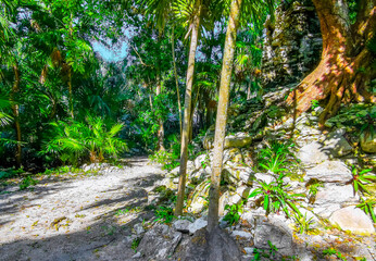 Xaman Ha Maya Ruins archeological site Playa del Carmen Mexico.
