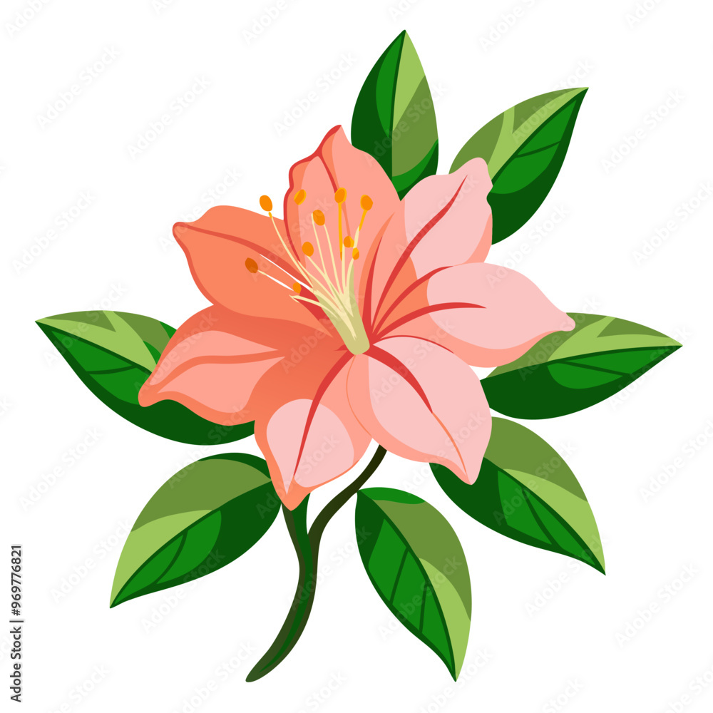 Wall mural vibrant azalea flower illustration with green leaves - detailed illustration of a vibrant azalea flo