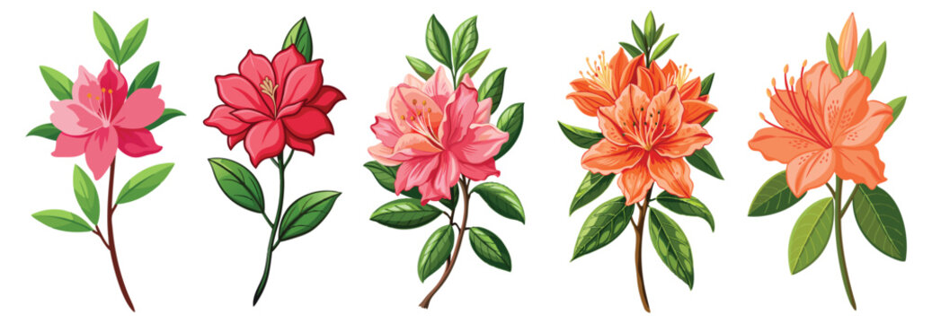 Vibrant Azalea Flower Illustration with Green Leaves - Detailed illustration of a vibrant azalea flower, surrounded by lush green leaves. Perfect for nature-themed artwork or botanical designs