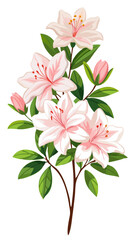 Vibrant Azalea Flower Illustration with Green Leaves - Detailed illustration of a vibrant azalea flower, surrounded by lush green leaves. Perfect for nature-themed artwork or botanical designs