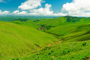 Obraz premium Beautiful landscape with low green hills in sunny weather. Caucasus