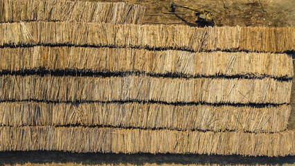 Visão aérea de estoque de madeiras para a produção de papel e celulose