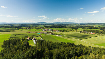 Aerial Shot of Bavarian Hop Fields in Bodensee Region, Germany