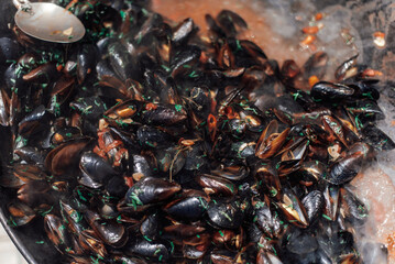 Fresh Cooked Mussels in Herbs Close-up
