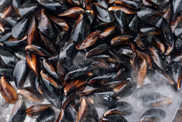 Fresh Cooked Mussels in Herbs Close-up