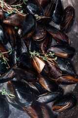 Fresh Cooked Mussels in Herbs Close-up