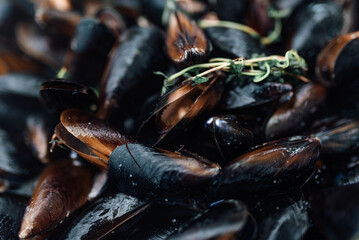 Fresh Cooked Mussels in Herbs Close-up