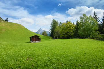 Obraz premium Urlaubs Chalet auf einer grünen Bergwiese in der Waldlichtung