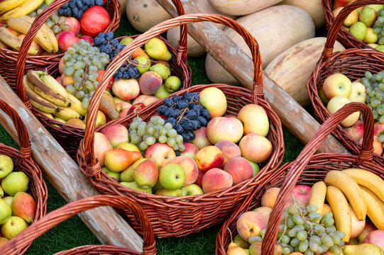Baskets filled with assorted fresh fruits, including apples, grapes, bananas, and pears, arranged on a grassy surface, showcasing a harvest concept
