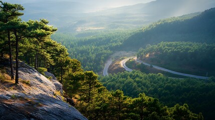 Scenic overlook with a road winding through pine forest below, panoramic beauty