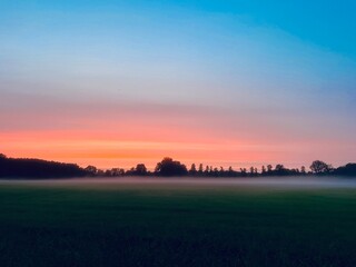 Fog on the green grass in the field, fantastic sunset in the field, purple sunset sky, foggy countryside 