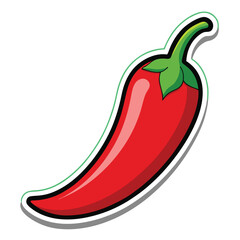 Vector Design and Illustrator