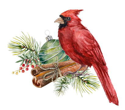 recommend clip art: Watercolor clipart of Christmas tree ornaments, branches, berries. Red cardinal bird. Hand painted, Christmas, decorative element. Christmas clipart for design or print.