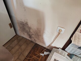 black mold on the inside walls,