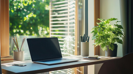 Minimalist Workspace with Laptop and Green Plant Next to Window in a Sunlit Room
