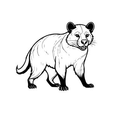 recommend clip art: Tasmanian Devil vector silhouette  black color  silhouette solid white background 18