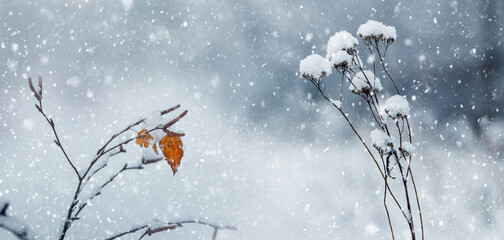 winter view: tree branch with dry leaf and snowy plants on blurred background during blizzard