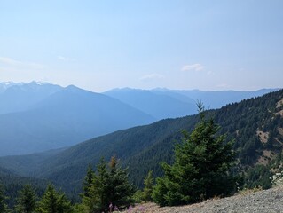 Fototapeta premium landscape in the mountains