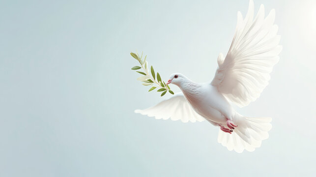 A white dove with outstretched wings gracefully carries an olive branch, symbolizing peace and hope against a serene light blue background.