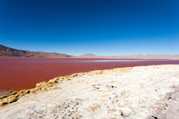 Laguna Colorada view, Bolivia