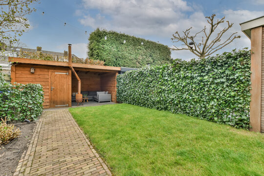 Cozy backyard with a wooden shed and ivy-covered walls