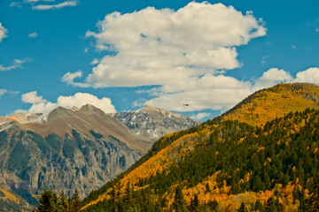 landscape in the mountains fall telluride