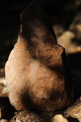Stones in the sunlight. Ancient rocks standing in a forest. Sedimentary rocks.
