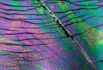 Vibrant Macro Texture of Feather Iridescence