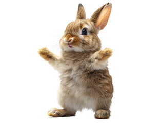 Obraz premium a rabbit standing on its hind legs. 