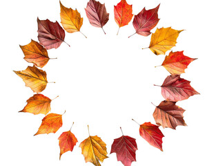 Round autumnal leaves frame on transparent background