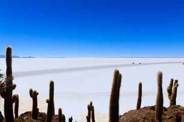 Salar de Uyuni view from Isla Incahuasi