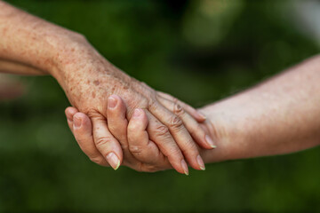 Fototapeta premium The hands of an elderly couple who have carried love and tenderness through life.
