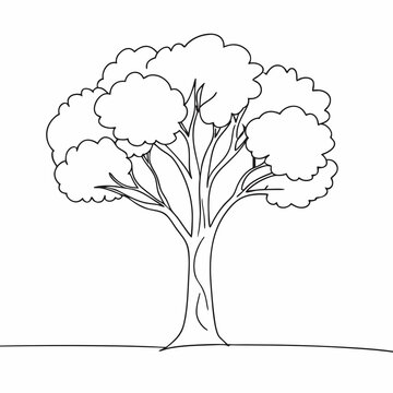 recommend clip art: Line drawing of a tree with a thick trunk and lush canopy