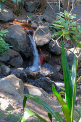 Beautiful Nature La Chapelle, Cirque de Cilaos, La Reunion, France