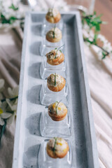 Elegant Canapes on Modern Serving Tray