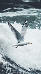 Fototapeta premium A seagull soaring gracefully over crashing waves evokes sense of freedom and natures beauty