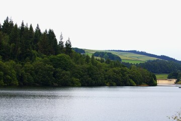 Fototapeta premium Green meadows with beautiful trees and a sparkling river in the foreground
