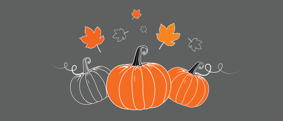 Vector outline colored Halloween pumpkin with leaves Isolated on grey background minimal style pumpkin icon illustration Vegetable Fall Farm gardening cooking and halloween holiday concept design.