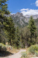 trail in the mountains