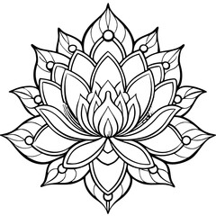 Fototapeta premium vector illustration of lotus