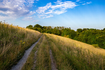 A countryside path winding through tall golden grasses under a bright blue sky with scattered clouds.